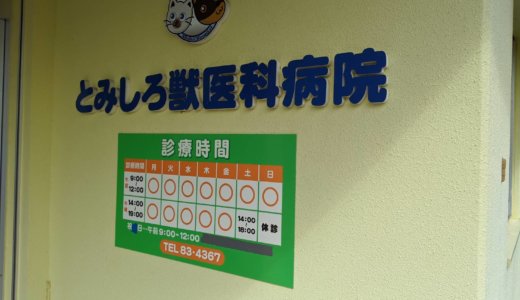 ももの検査